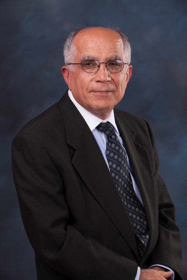 Mohammad E. Rassouli MD